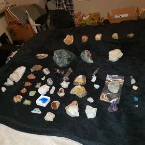 Meet your Posher, Justin